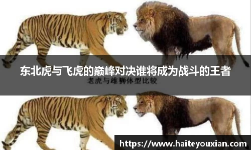 东北虎与飞虎的巅峰对决谁将成为战斗的王者